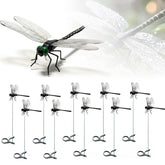 10 Pcs Dragon Fly Clips in black with PVC wings, front view