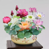 10PCS Bonsai Lotus Seeds assorted colours packaging