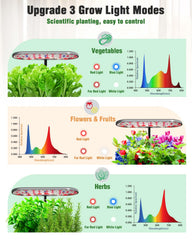 16 planting pods in Growell Hydroponics system