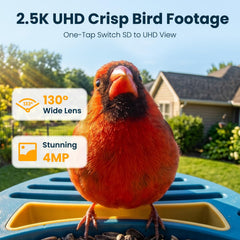 2.5K UHD video capture feature of bird feeder