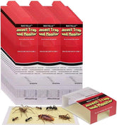 30 Pack Noctelle Indoor Sticky Bug Traps front view
