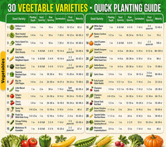 30 packs of heirloom vegetable seeds assortment