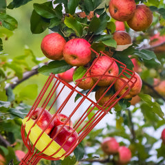 3TVol Fruit Picker Basket side view showcasing foam cushion