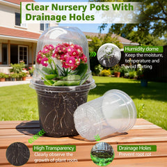 4 inch MIXC Clear Nursery Pot with humidity dome