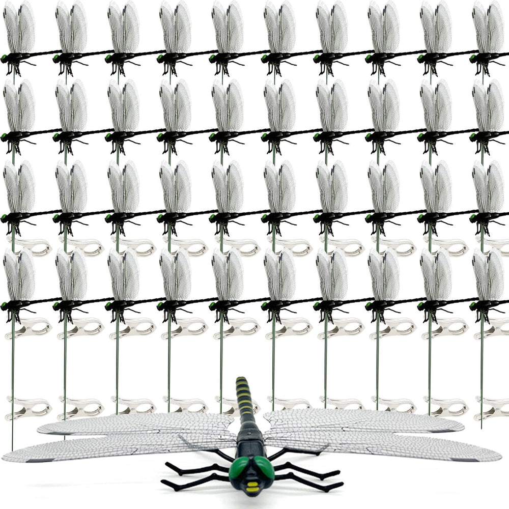 40 Pcs Black Dragon Fly Clips in packaging