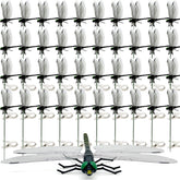 40 Pcs Black Dragon Fly Clips in packaging