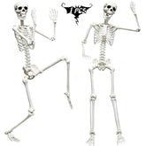 5.9FT CAMIRUS life size skeleton front view
