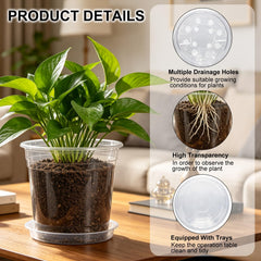 5 inch Hemikaki nursery pot side view with soil