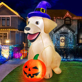 5Ft zukakii Halloween inflatable Lab dog with wizard hat and pumpkin