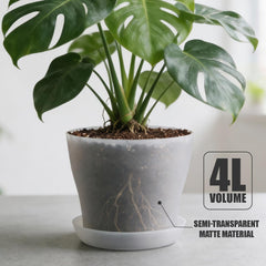 6 pack of BTPLASTIK 8 inch clear nursery pots with saucers