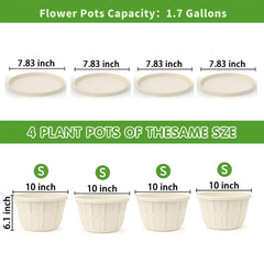 Quarut flower pot in outdoor garden setting