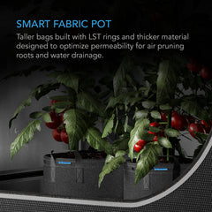 AC Infinity Heavy Duty Fabric Pot 5 Gallon side view