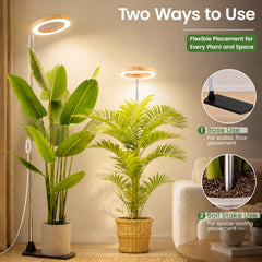 Adjustable height of LBW grow light from 10.5" to 65"