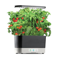 AeroGarden setup with Salsa Garden Seed Pods growing