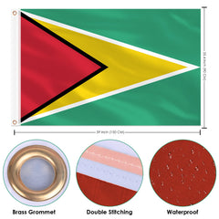 AhfuLife Guyana Flag set, two flags displayed together