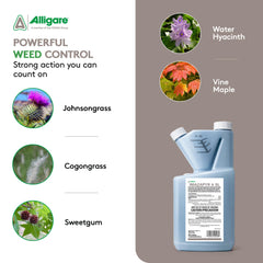 ALLIGARE Imazapyr Herbicide 4 SL bottle back view with label
