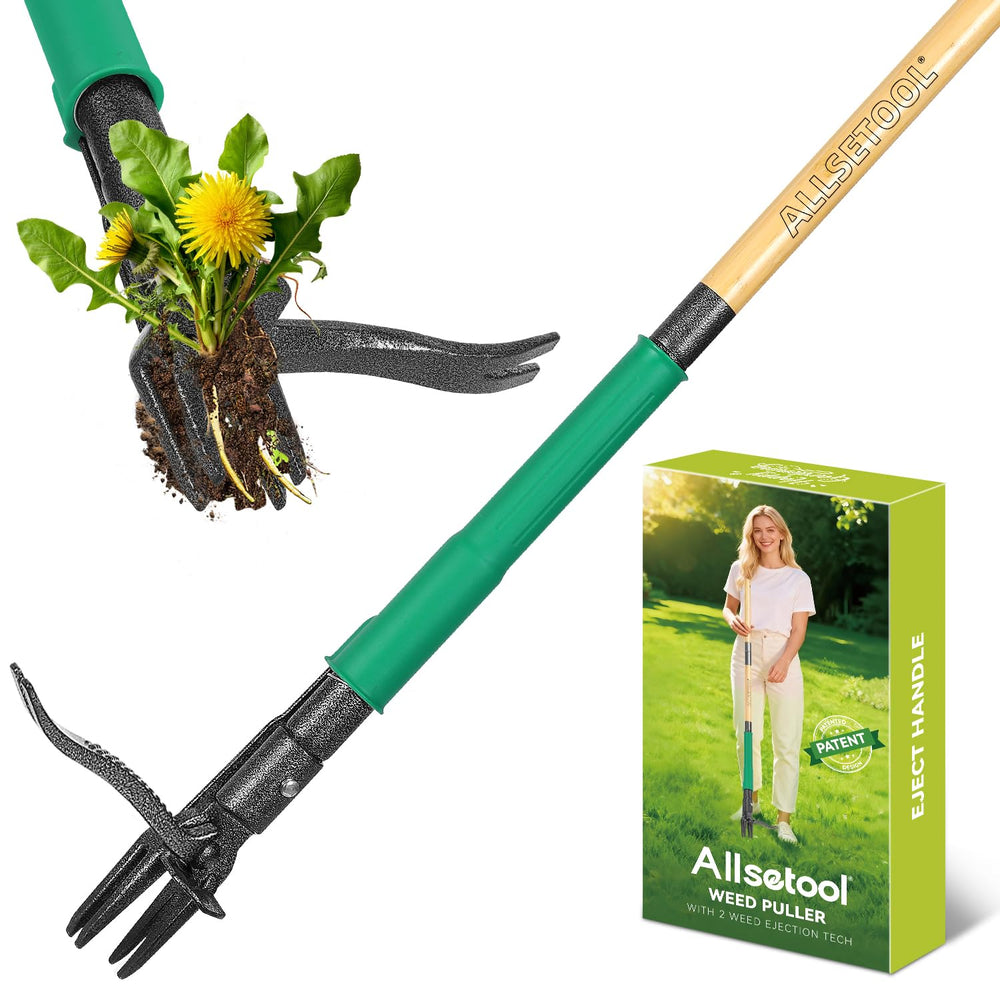 Allsetool weed puller tool front view with metal claw head