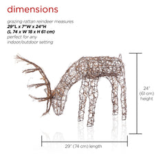 Alpine Rattan Grazing Reindeer in outdoor setting during nighttime