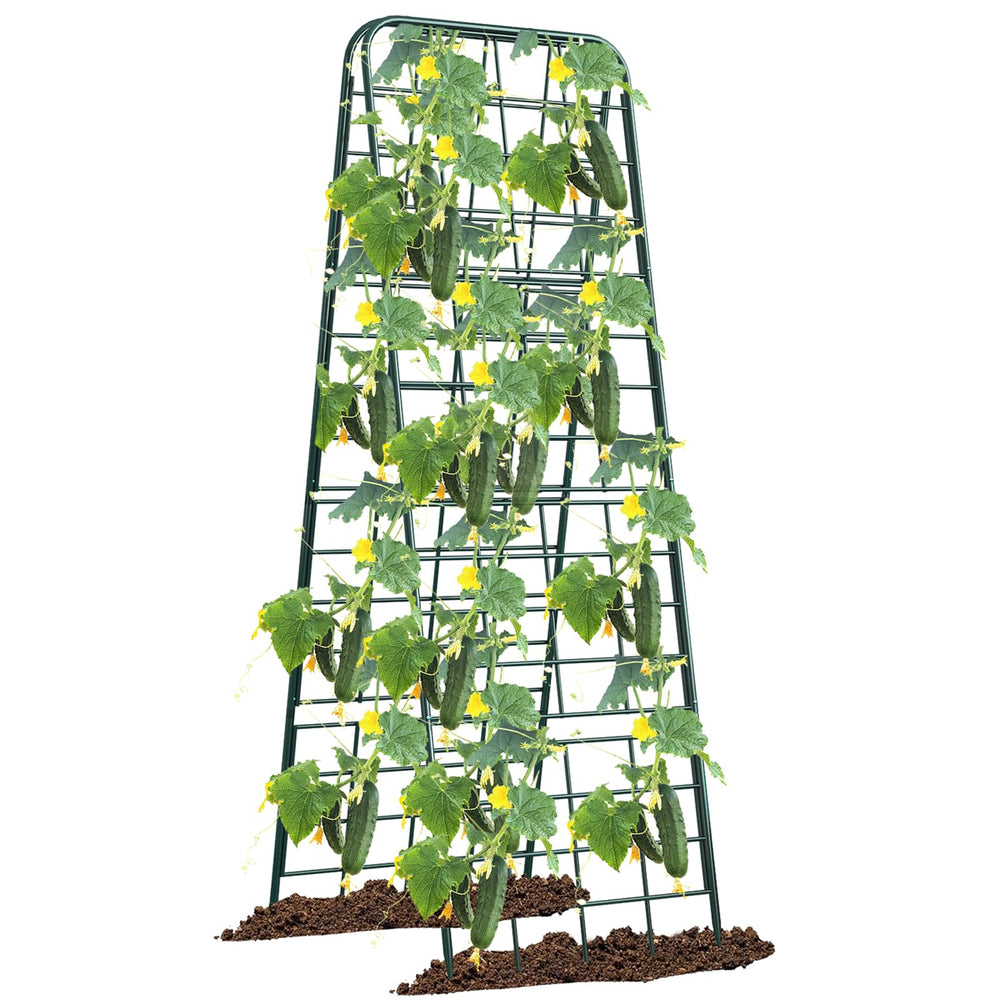 Alxcellion Heavy Duty Adjustable A-Frame Trellis front view