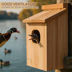 Amcortn Duck House wooden construction with drainage holes