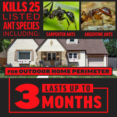 Amdro Ant Killer granules on a lawn