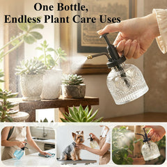 Amolliar Glass Plant Mister Spray Bottle with green clips and bamboo signs