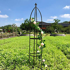AngyangguoJi Garden Arch Trellis side view with climbing plants