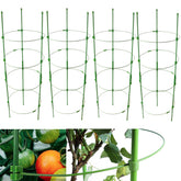 Anothera 36 inch adjustable tomato cage front view with green rings