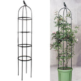Anothera 6ft Garden Obelisk Trellis front view with climbing plants