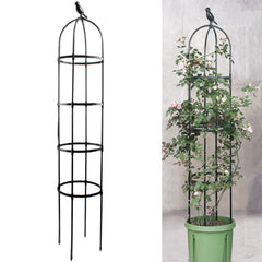 Anothera 6ft Garden Obelisk Trellis front view with climbing plants