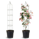 Anothera 6ft trellis for climbing plants front view, white