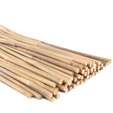 Anothera Bamboo Garden Stakes 18In pack of 50