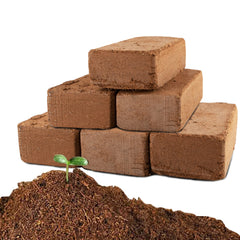 Anothera Coco Coir Brick 6-Pack front view