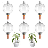 Ansberta 6 Pack Plant Watering Globes clear plastic design