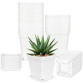 Anyumocz 24Pcs 3-inch square plastic plant pots with saucers