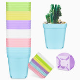 Anyumocz 3-inch square plastic plant pots in vibrant colours