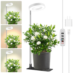 Aokrean Halo Grow Light front view with adjustable height feature
