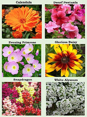 Apexmode seed packets showing sunflower and marigold seeds