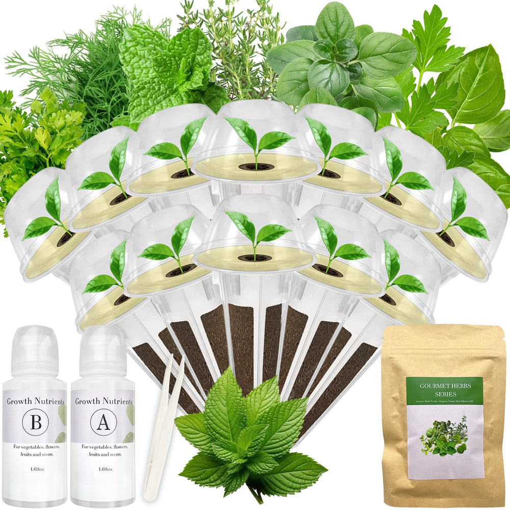 apoloseedic Gourmet Herb Seed Pod Kit contents view including seeds and supplies