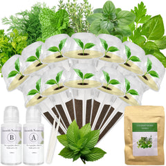 apoloseedic Gourmet Herb Seed Pod Kit contents view including seeds and supplies