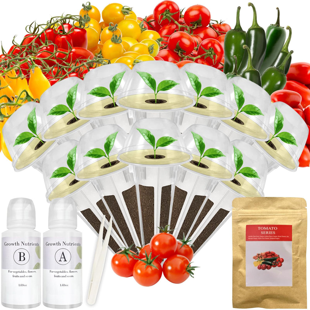 apoloseedic Heirloom Tomato Seed Pod Kit packaging front view