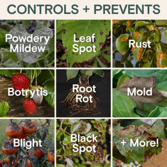 Application of ARBER Organic Plant Food on houseplants