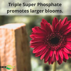 Application of Easy Peasy fertilizer on garden plants
