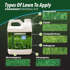 Application of Endurant Turf Colorants on a patchy lawn