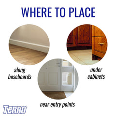 Application of Terro Liquid Ant Killer near ant trail