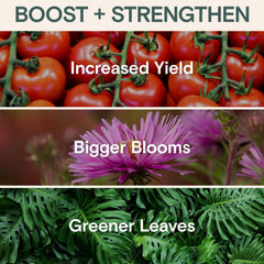 ARBER Organic Plant Food Liquid Fertilizer in a garden setting