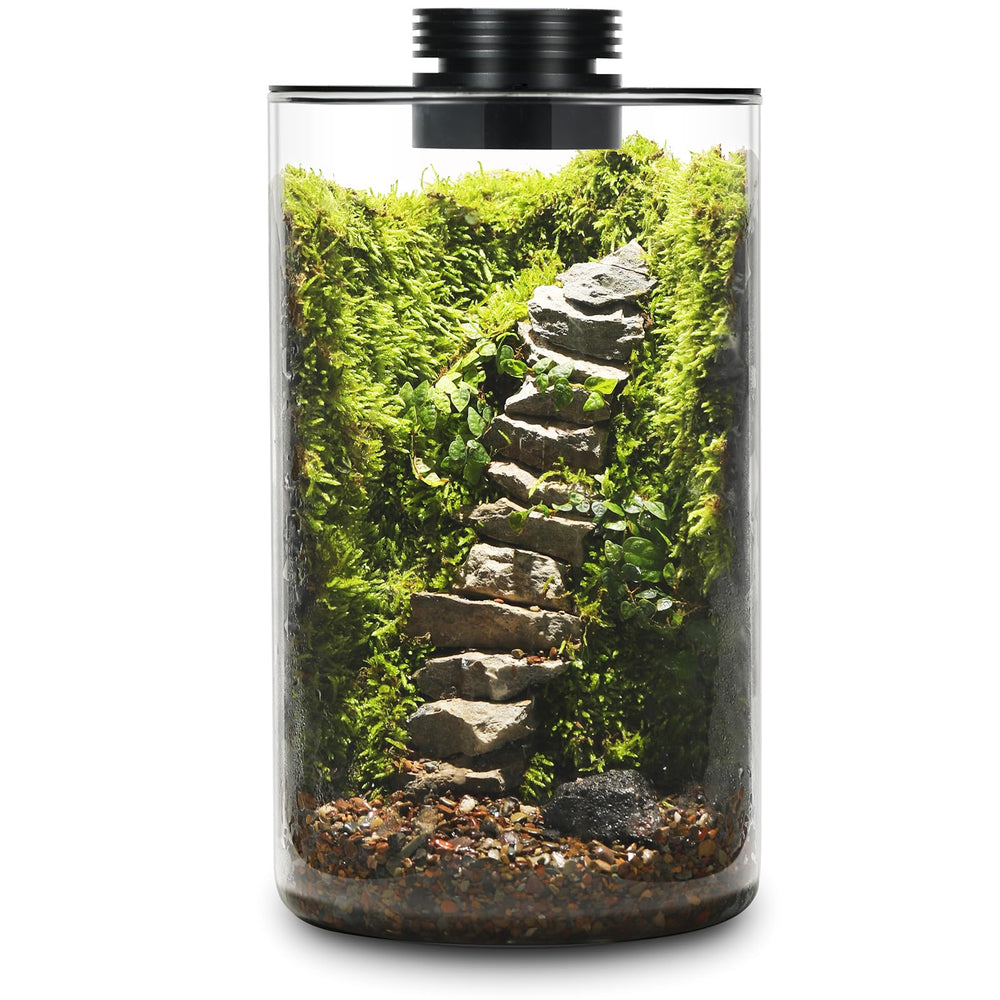 AREPK Glass Terrarium front view with LED grow light