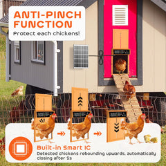 AsFrost Automatic Chicken Coop Door remote control and user manual