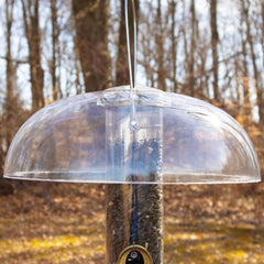 Aspects 281 Tube Top Weather Dome installed on a bird feeder