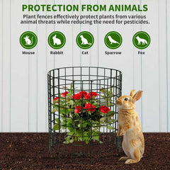 Assembled ZEAZEA Plant Protector Cage in garden setting